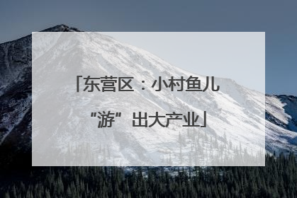 东营区：小村鱼儿“游”出大产业